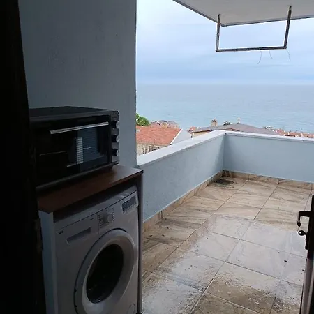 Zeytin Konak M. Ereglisi *