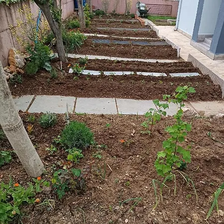 Zeytin Konak M. Ereglisi בית נופש *