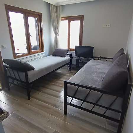 Tatil Evi Zeytin Konak M. Ereglisi